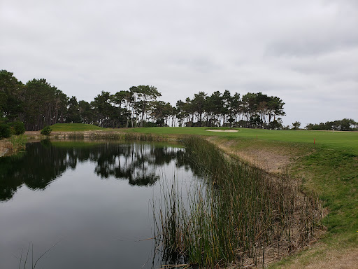 Golf Course «Poppy Hills Golf Course», reviews and photos, 3200 Lopez Rd, Pebble Beach, CA 93953, USA
