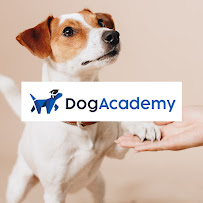 Dog Academy