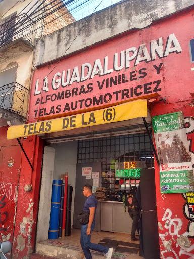 TELAS AUTOMOTRICES LA GUADALUPANA