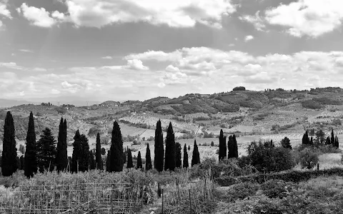 Tenuta di Capezzana image