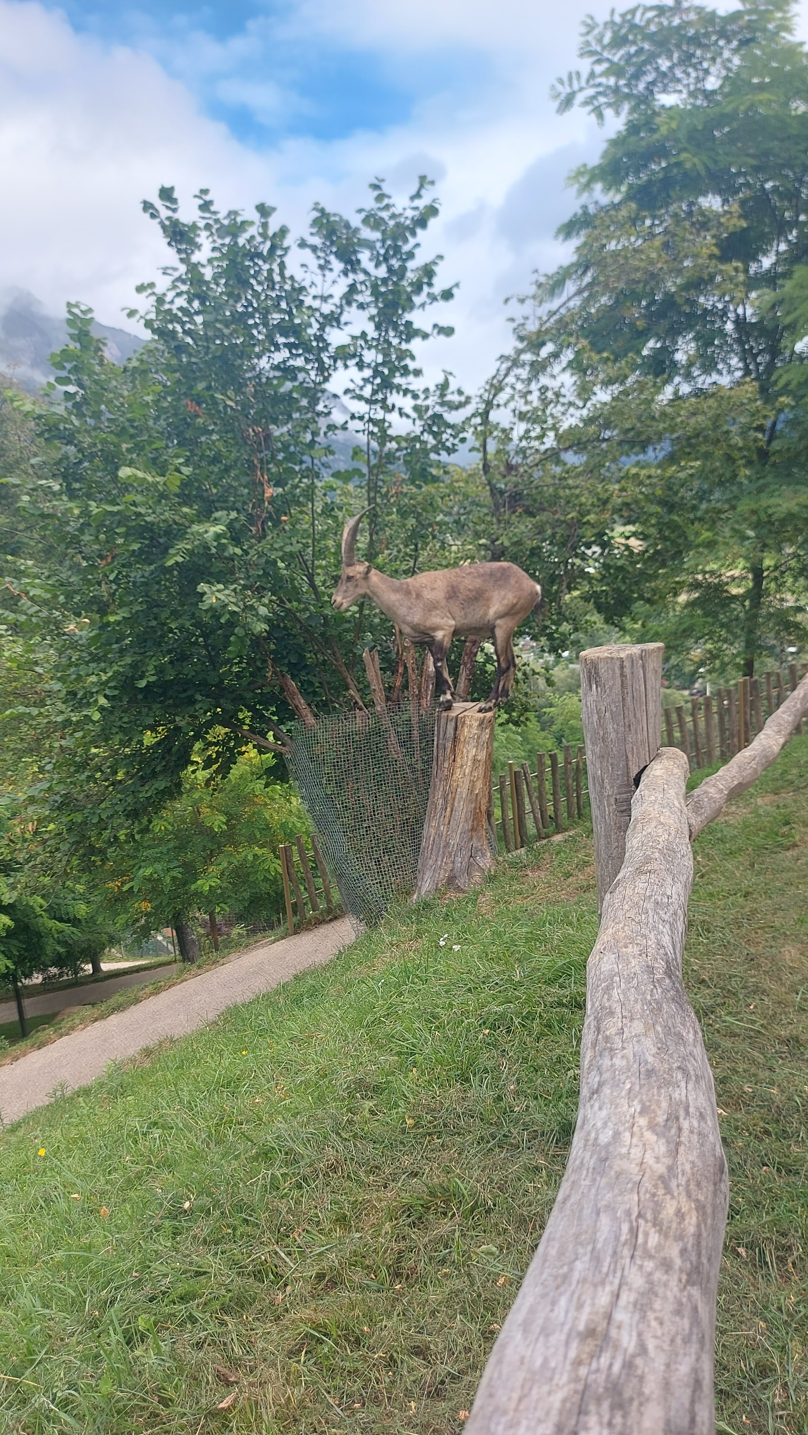 Photo n° 3 de l'avis de Jeremyb59.i fait le 05/08/2023 à 06:02