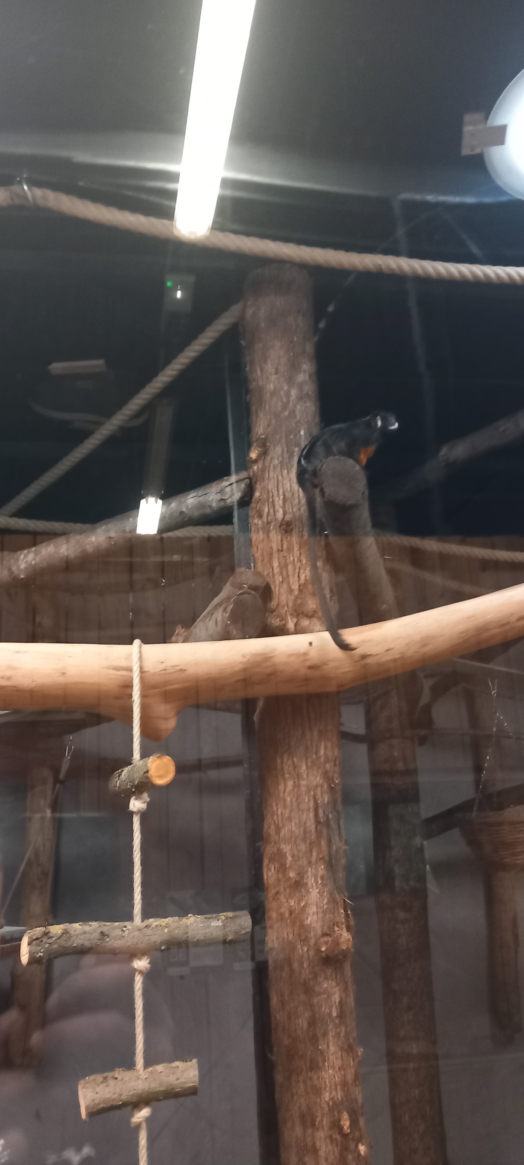 Photo n° 12 de l'avis de Laurent.e fait le 20/09/2023 à 12:16