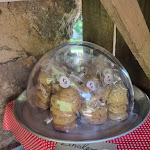 Photo n°3 de l'avis de Andreas.u fait le 22/05/2022 à 10:25 sur le  Backhiesel à Kappelrodeck