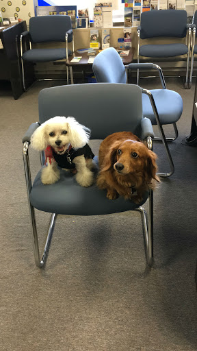 Insurance Agency «Allstate Insurance Agent: Anna Maria Chiaverini», reviews and photos