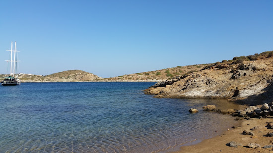 Papantria