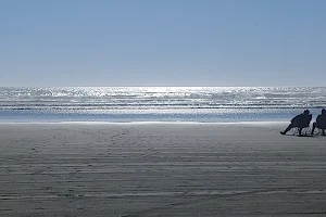 Ocean Shores Beach Access image