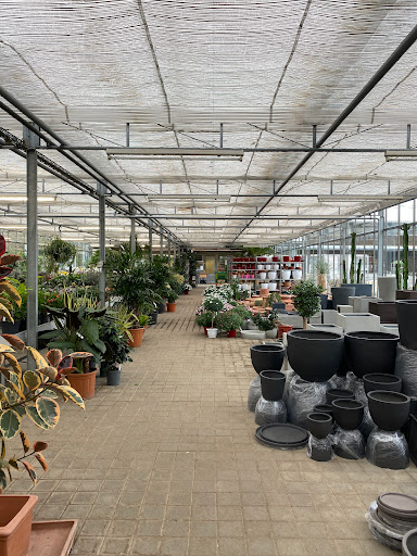 Hörmann-Pflanzen GmbH
