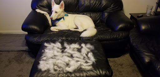 Pet Supply Store «PetSmart», reviews and photos, 475 Bank St, Waterbury, CT 06708, USA