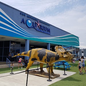 San Antonio Aquarium - photo 4