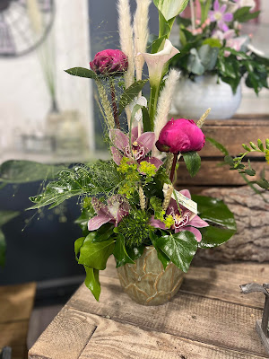 Anyflor à Jassans-Riottier