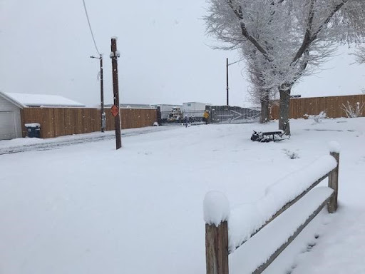 Storage «Ace Storage, Inc.», reviews and photos, 5829 W Louviers Ave, Littleton, CO 80125, USA