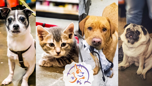 Pet Supply Store «Petapoluza Pet Supply & Grooming», reviews and photos, 114 N 36th St, Seattle, WA 98103, USA