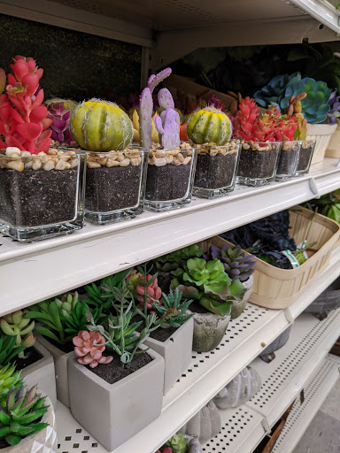 Craft Store «Michaels», reviews and photos, 6502 Grape Rd #730, Mishawaka, IN 46545, USA