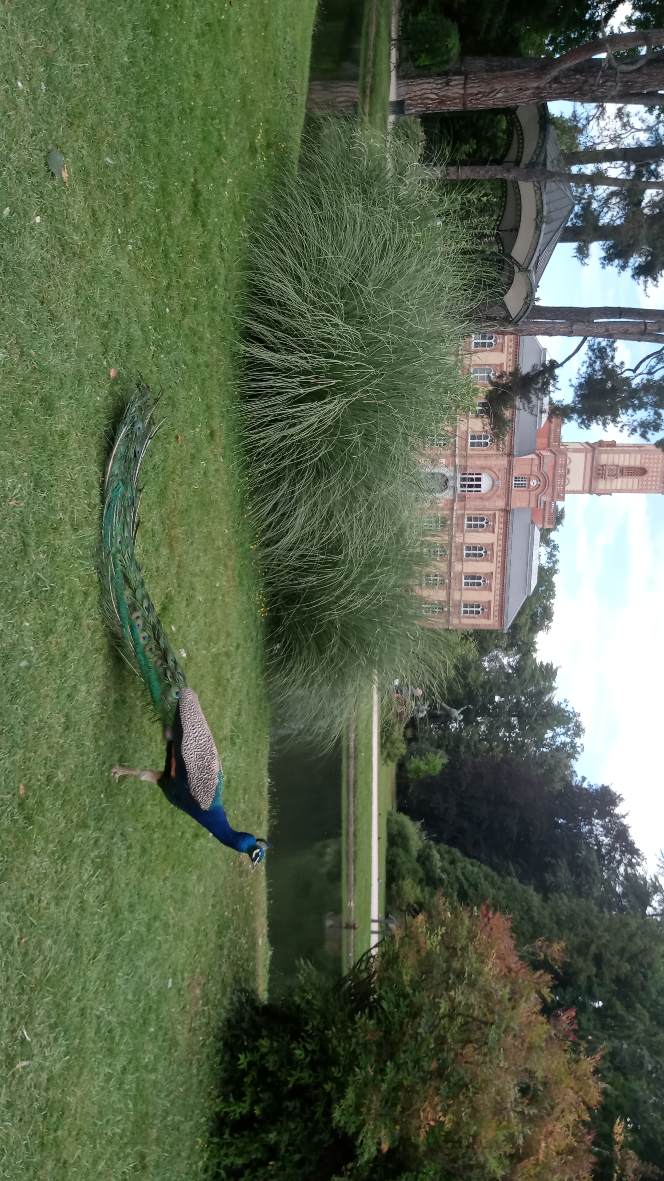Photo n° 2 de l'avis de blandine.a fait le 15/07/2020 à 14:11