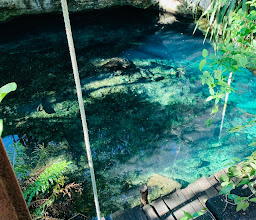 Seth Dive Mexico photo