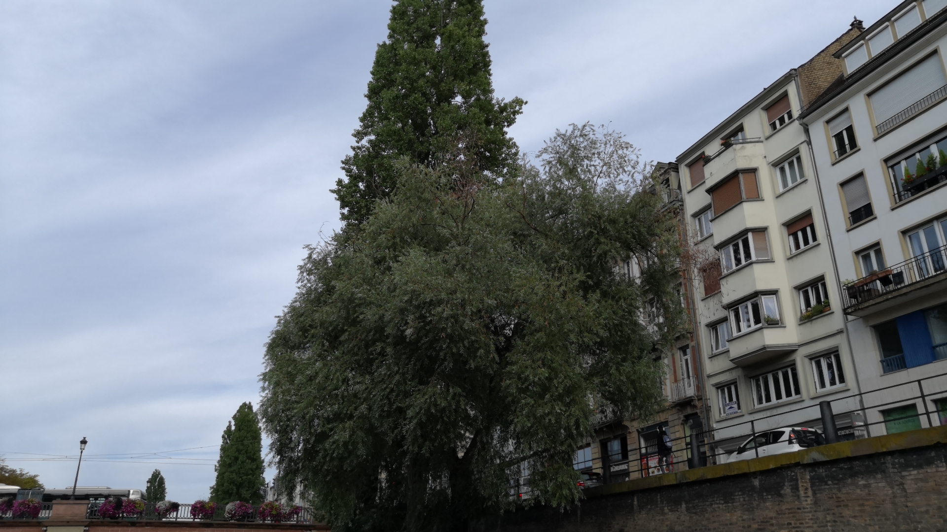Photo n° 9 de l'avis de FotoSpeed.a fait le 13/08/2019 à 19:25