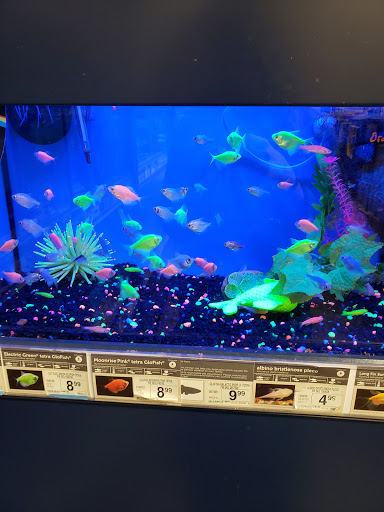 Pet Supply Store «Petco Animal Supplies», reviews and photos, 2131 Pleasant Hill Rd, Duluth, GA 30096, USA