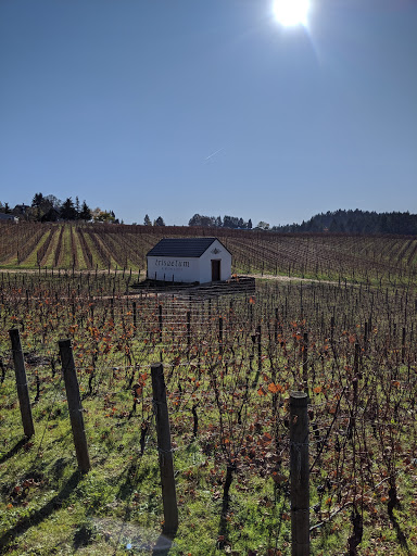 Winery «Trisaetum Winery», reviews and photos, 18401 NE Ribbon Ridge Rd, Newberg, OR 97132, USA