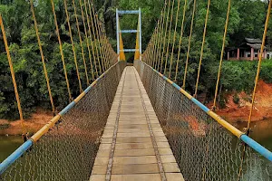 Hariharapura Hanging Bridge image