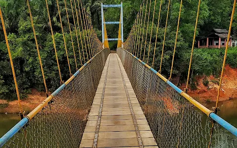 Hariharapura Hanging Bridge image