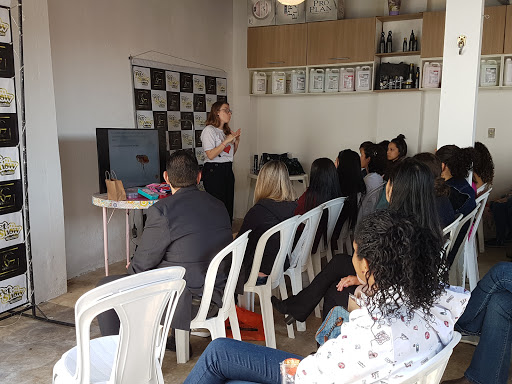 Esteticão e Gato em Jundiaí - SP