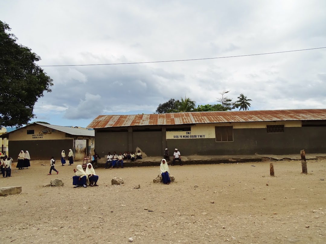 Bububu Primary School NA B