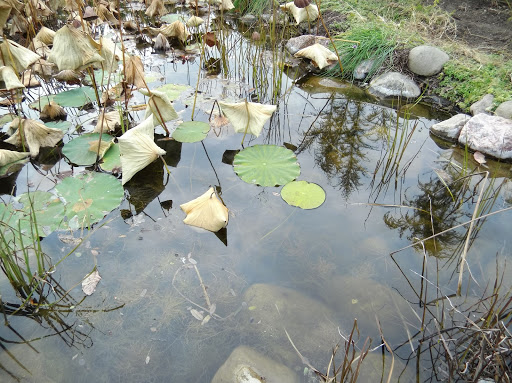 Golf Course «Cantigny Golf», reviews and photos, 27W270 Mack Road, Wheaton, IL 60189, USA