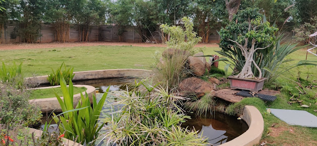 Google Maps image 25