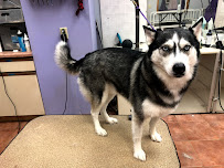 Country Comfort Boarding & Grooming - Photo 5 - Car repair in Yorkville, IL, Aurora