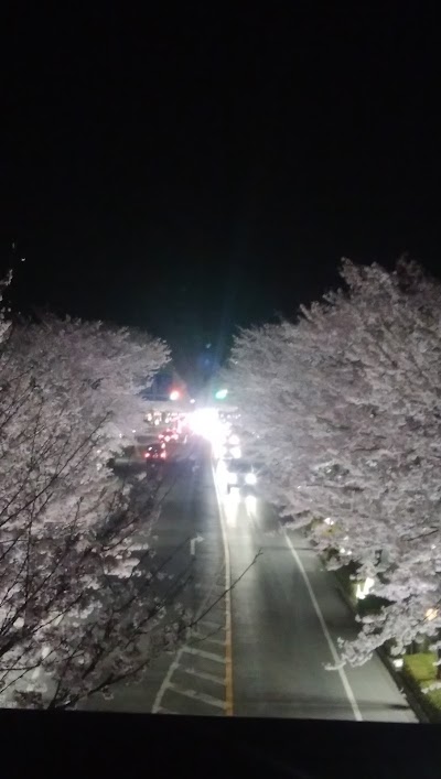 黒川左岸段丘崖（鳩胸地区）