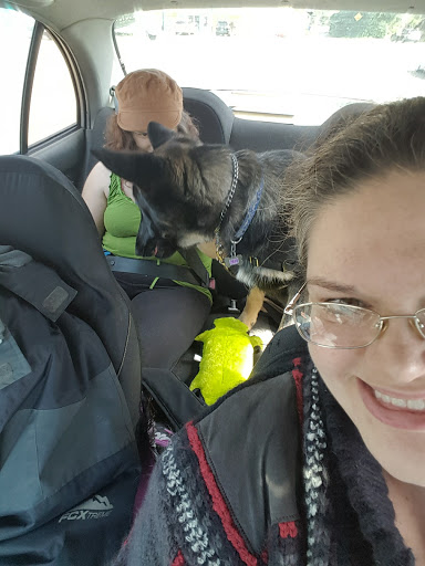 Pet Supply Store «Mini Pet Mart», reviews and photos, 1740 Oregon Coast Hwy, Newport, OR 97365, USA