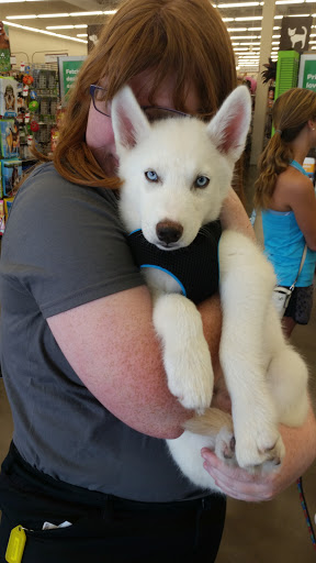 Pet Supply Store «Pet Supplies Plus», reviews and photos, 20020 Ashbrook Commons Plaza #150, Ashburn, VA 20147, USA