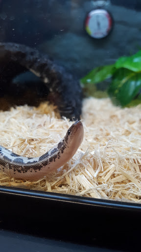 Pet Supply Store «Petco Animal Supplies», reviews and photos, 35860 Chester Rd, Avon, OH 44011, USA