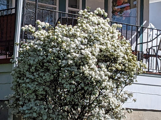 Shopping Mall «Bond Shopping Center», reviews and photos, 1891 S State Rd, Upper Darby, PA 19082, USA