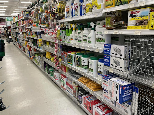 Paint Store «Ace Hardware at Austin Bluffs», reviews and photos, 3640 Austin Bluffs Pkwy, Colorado Springs, CO 80918, USA