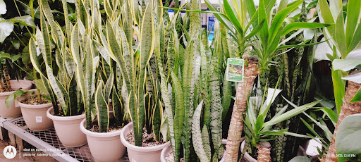 Home Improvement Store «The Home Depot», reviews and photos, 845 W Shaw Ave, Clovis, CA 93612, USA