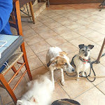 Photo n°6 de l'avis de Claudia.i fait le 17/04/2022 à 16:36 sur le  Ristorante Pizzeria IL BAGLIO 2.0 à Baia