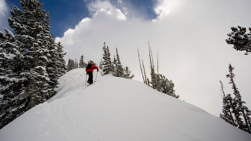 Outdoor Sports Store «White Pine Touring», reviews and photos, 1790 Bonanza Dr, Park City, UT 84060, USA