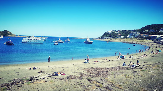 Island Bay Beach
