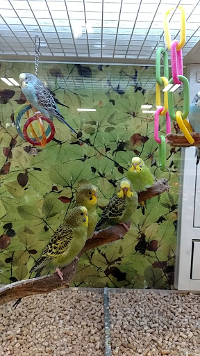 Pet Supply Store «PetSmart», reviews and photos, 1929 Scenic Hwy N, Snellville, GA 30078, USA