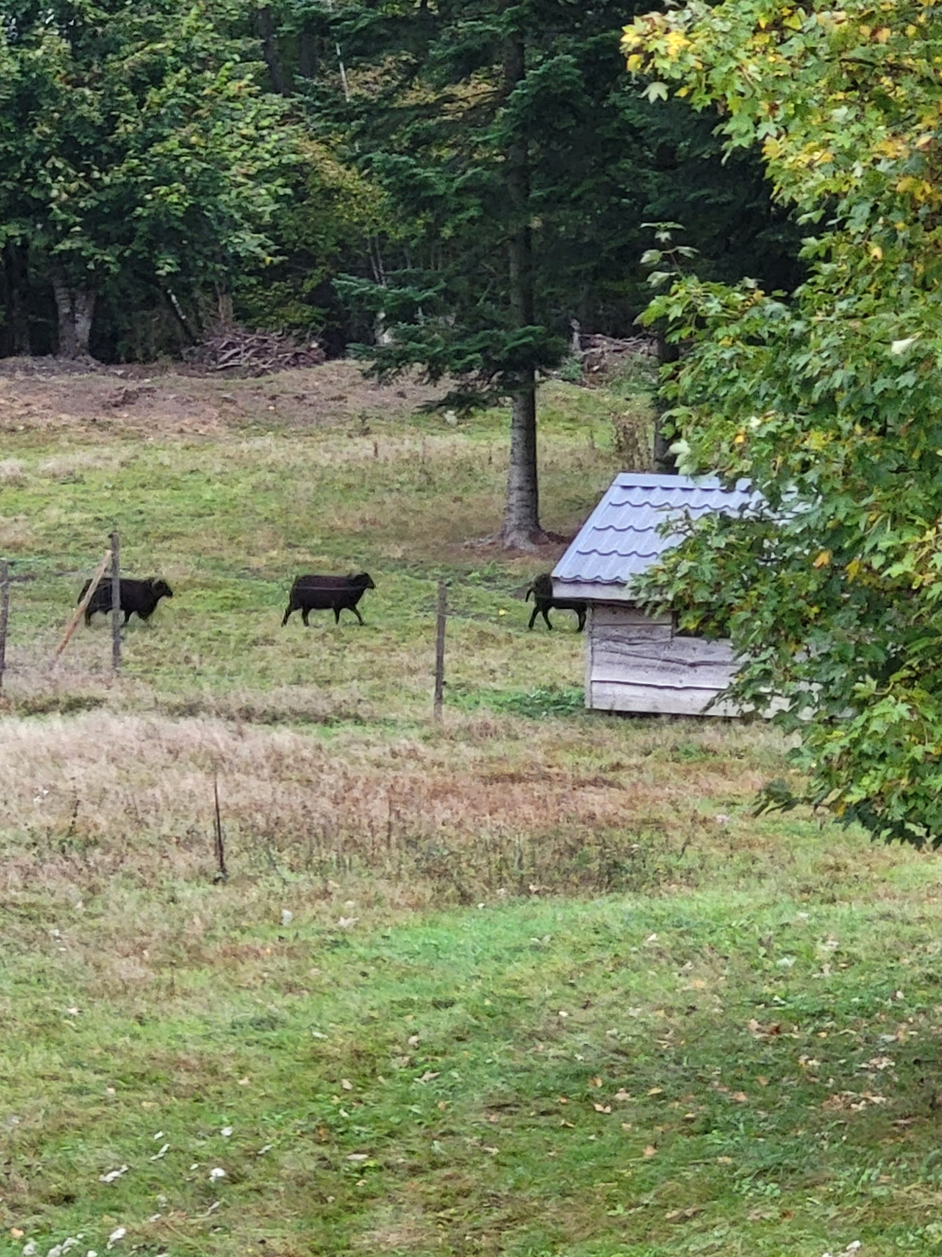 Photo n° 3 de l'avis de sandrine.A fait le 26/10/2023 à 10:55