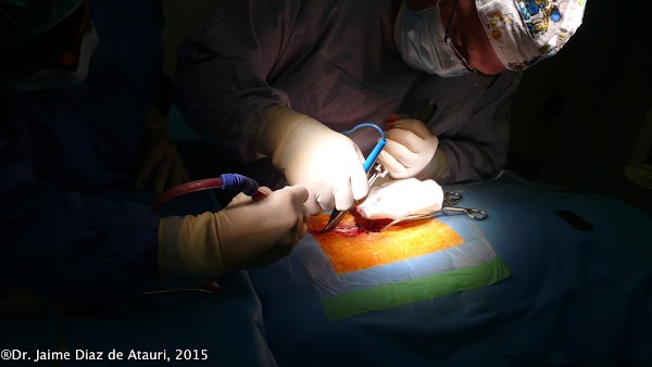 Consulta Dr. Jaime Diaz de Atauri