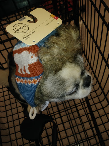 Pet Supply Store «Petco Animal Supplies», reviews and photos, 3270 N Pleasantburg Dr, Greenville, SC 29609, USA