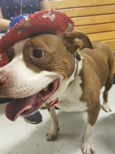 Pet Supply Store «PetSmart», reviews and photos, 889 NE 25th Ave, Hillsboro, OR 97124, USA