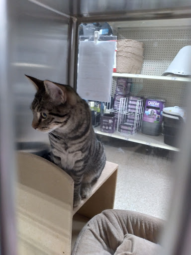 Pet Supply Store «PetSmart», reviews and photos, 1125 Quentin Rd, Lebanon, PA 17042, USA