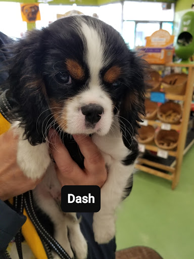 Pet Supply Store «Animal Krackers Inc», reviews and photos, 232 Main St, Gloucester, MA 01930, USA