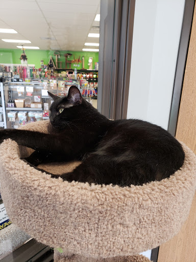 Pet Supply Store «Natural Pet Center», reviews and photos, 3037 13th Ave S, Fargo, ND 58103, USA