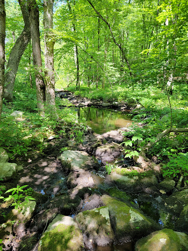 Nature Preserve «Summer Star Wildlife Sanctuary», reviews and photos, 690 Linden St, Boylston, MA 01505, USA