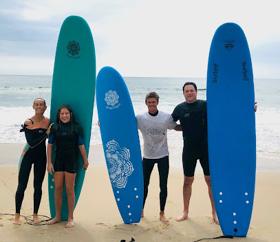 Engstrom Surf Lessons