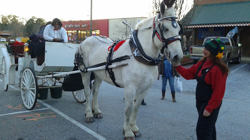Pet Supply Store «The Stock Market Country Store», reviews and photos, 4479 Dover Pl SE, Conyers, GA 30013, USA